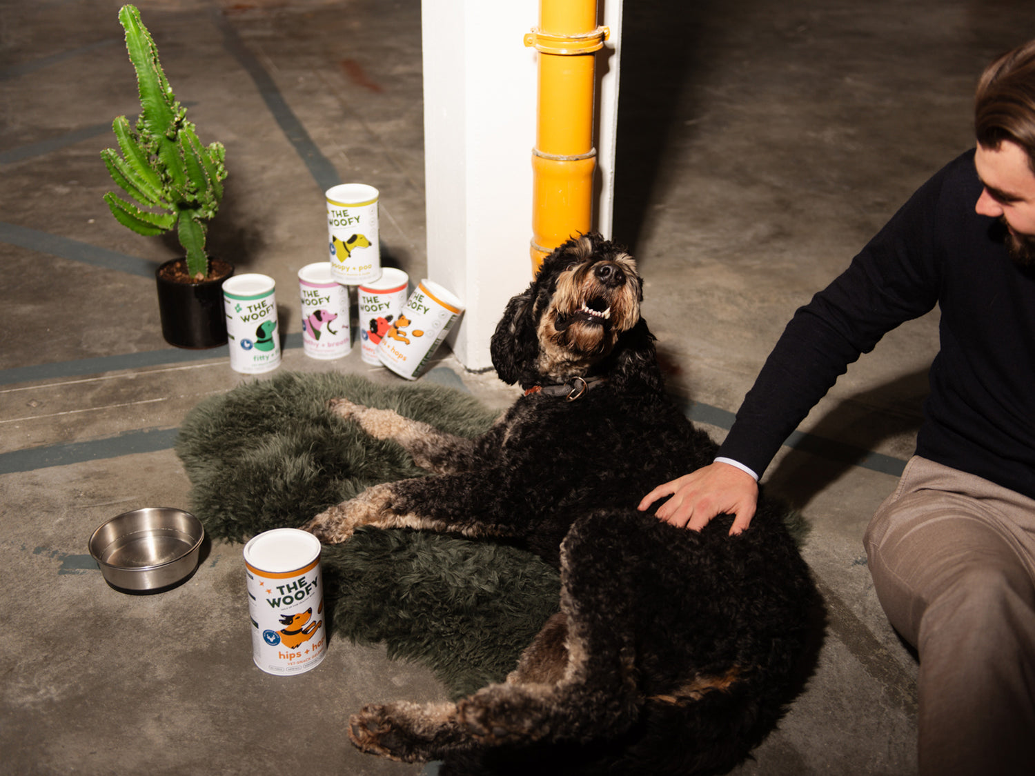 Hund Charly liegt auf einem Lammfell umgeben von The Woofy Produkten