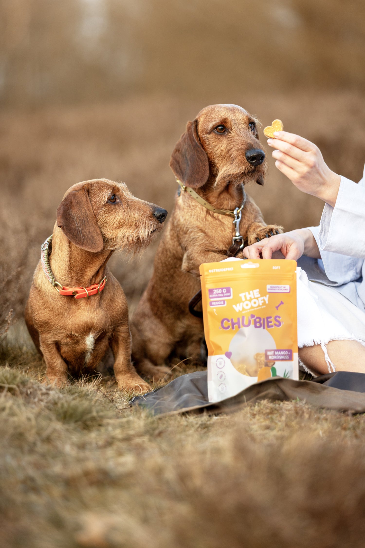 mio und bo mit the woofy mango Kokos leckerli