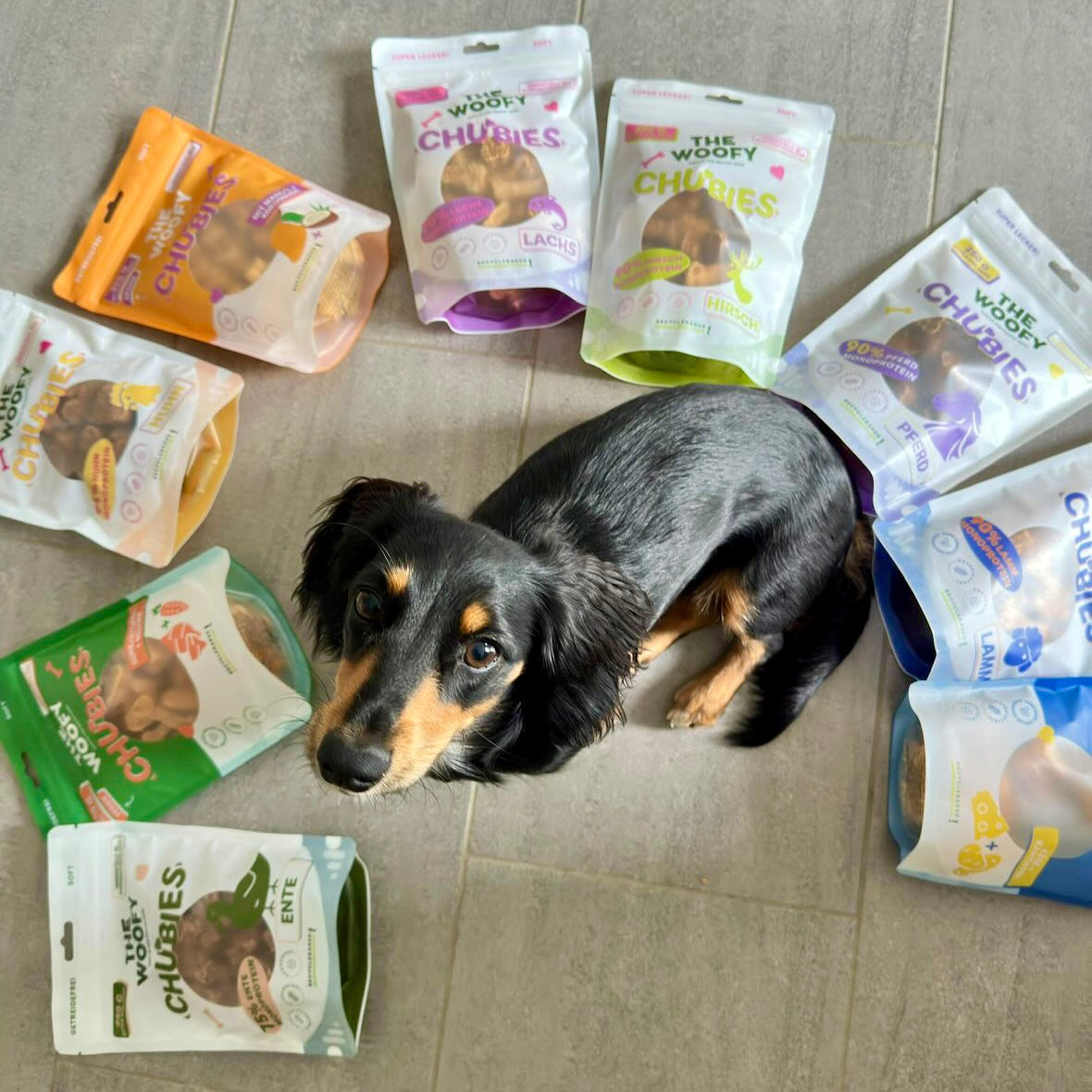 Wie du die perfekten Leckerlis für deinen Hund auswählst