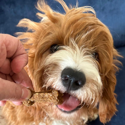 HIRSCH SNACK
