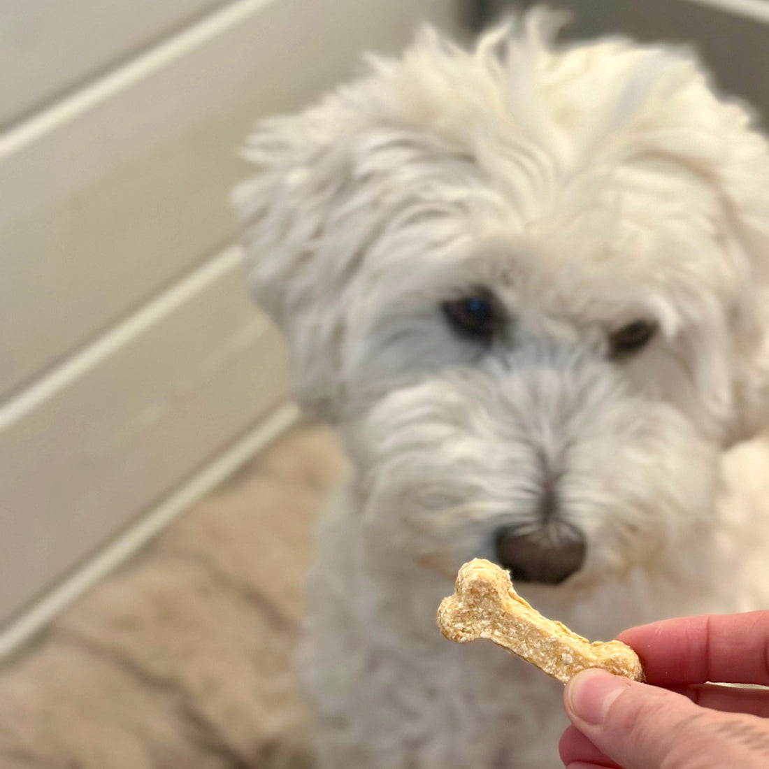 MANGO + KOKOS. EXOTISCH FRUCHTIG.