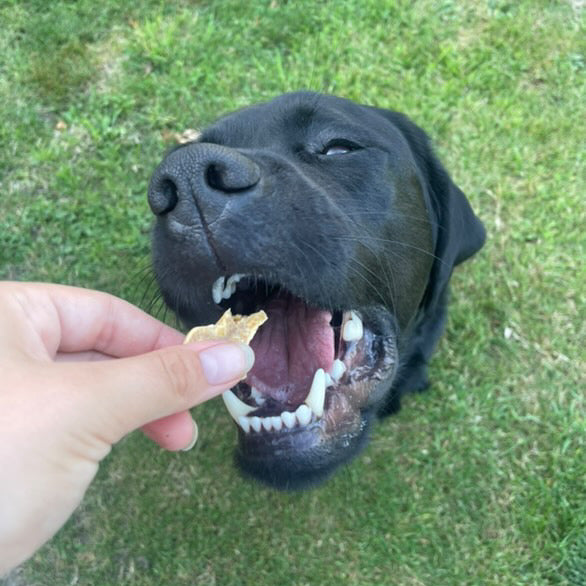 ALLES FÜR DIE GELENKE SET