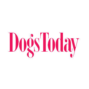 Logo-Dogs-Today-Magazin