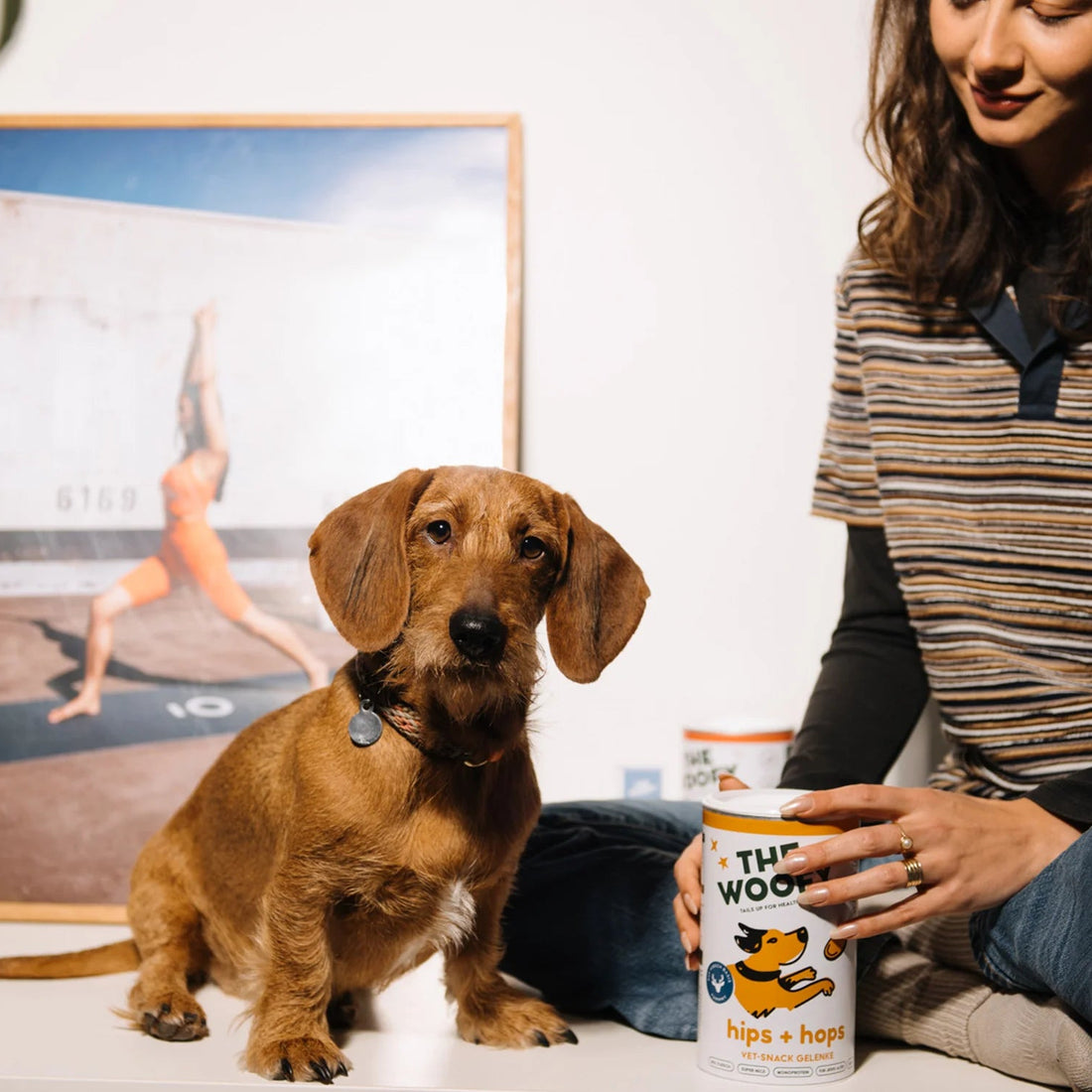 GELENKE &amp; KNOCHEN SNACK